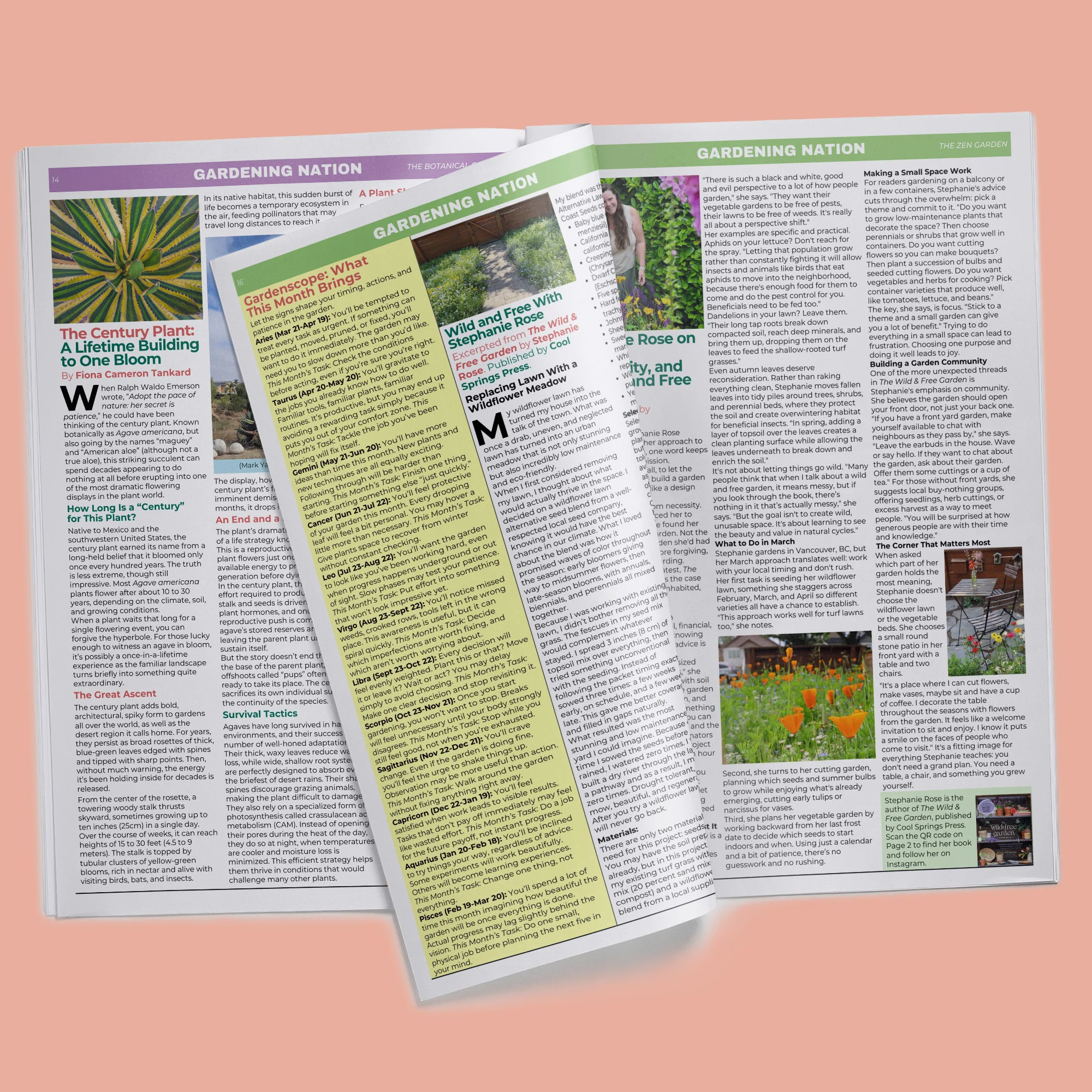 Annual Subscription • Gardening Nation - Image 9