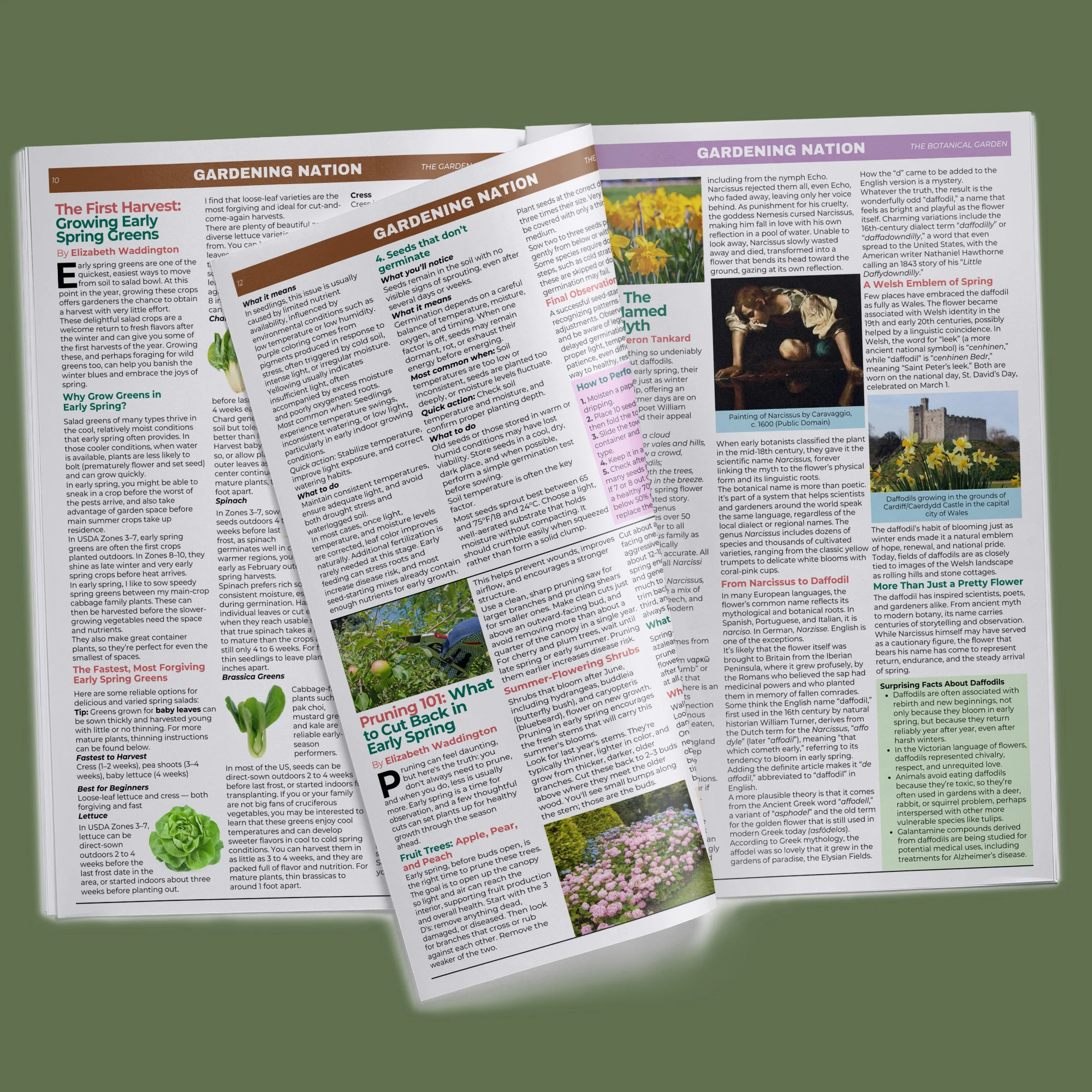Gardening Nation • Issue 1 - Image 10