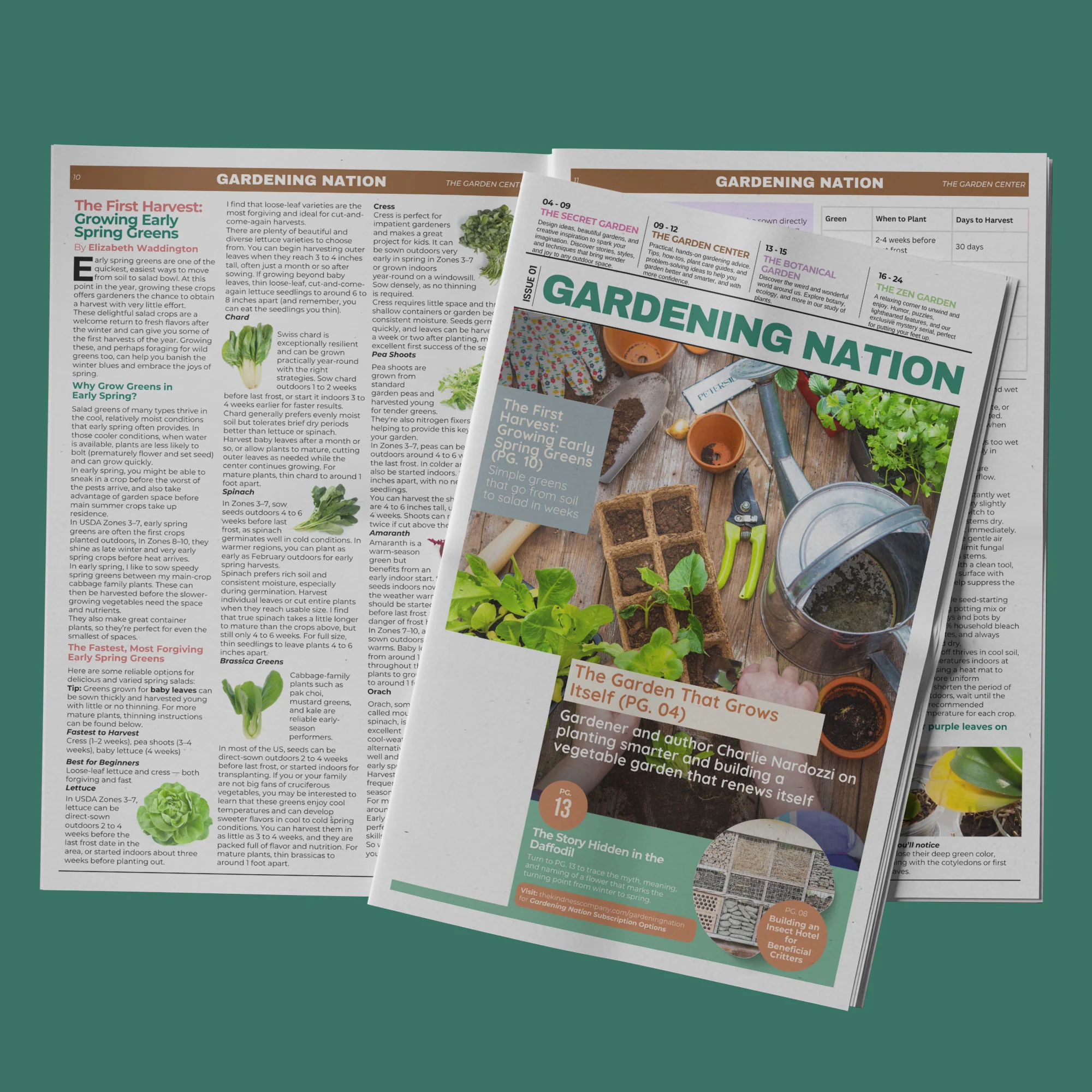Gardening Nation • Issue 1 - Image 17