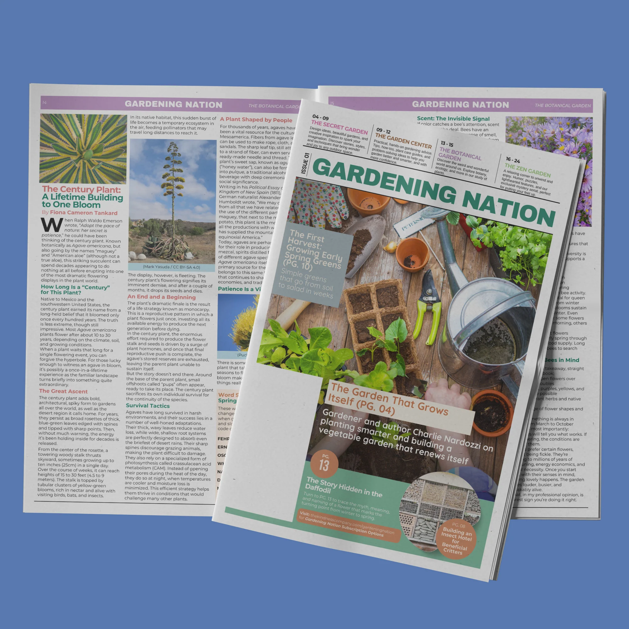 Gardening Nation • Issue 1 - Image 19