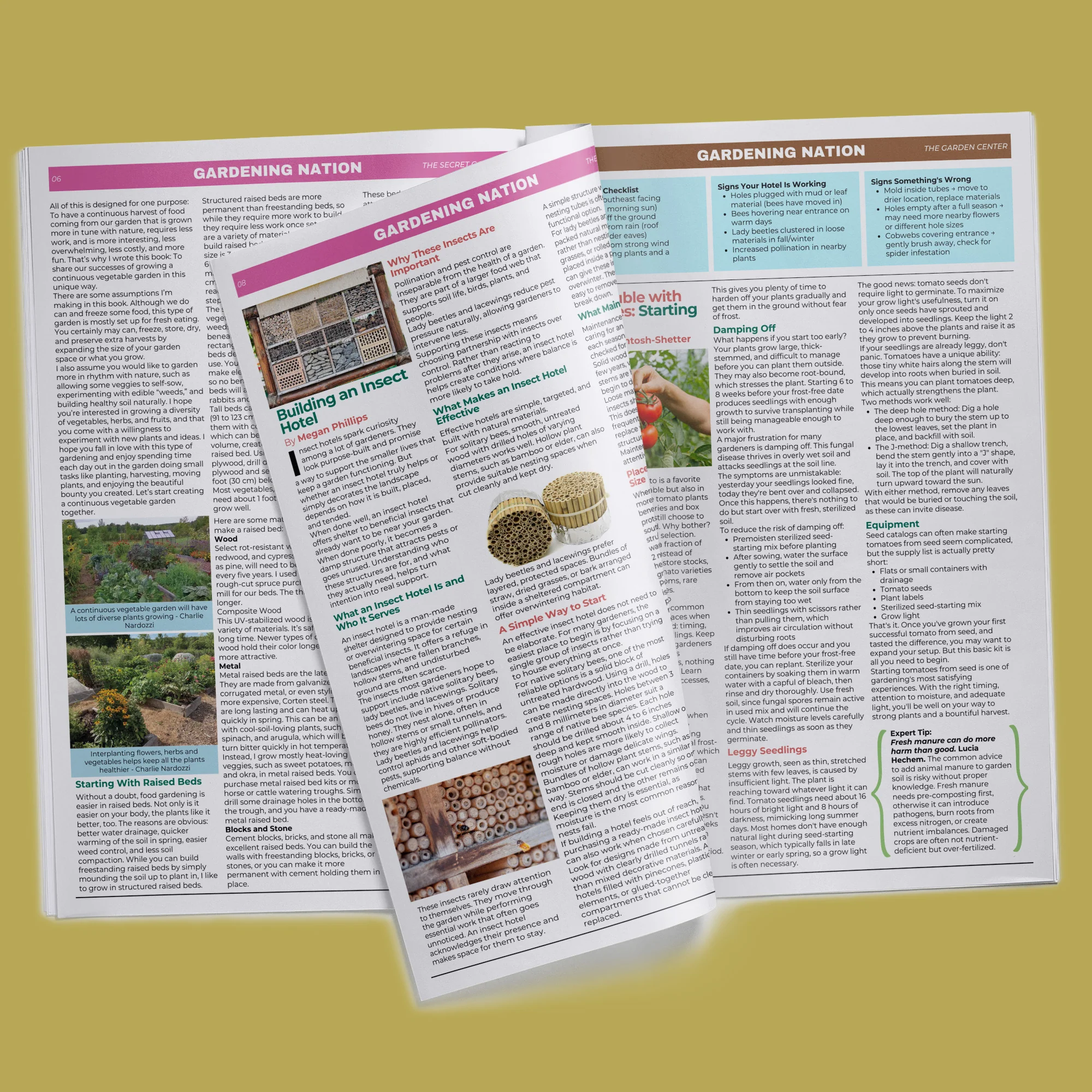 Gardening Nation • Issue 1 - Image 9