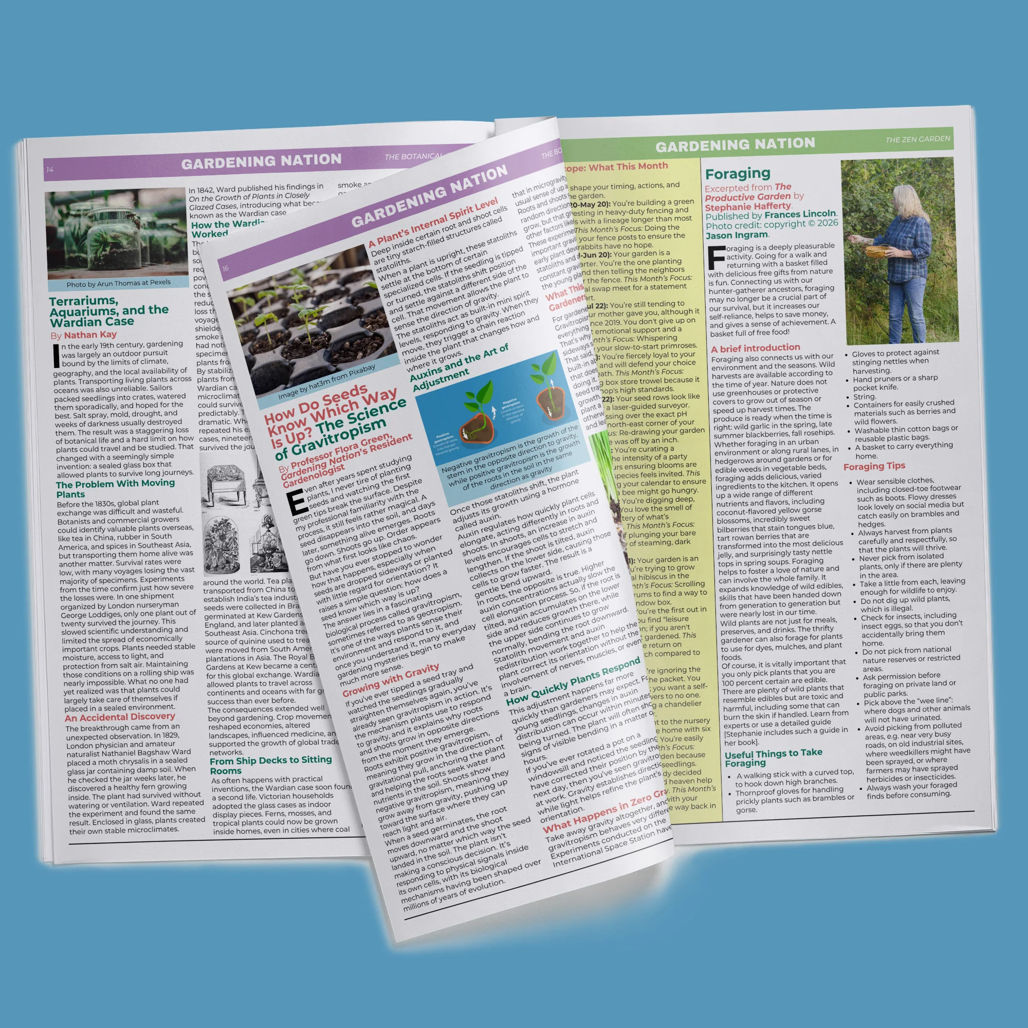 Gardening Nation • Issue 2 - Image 10