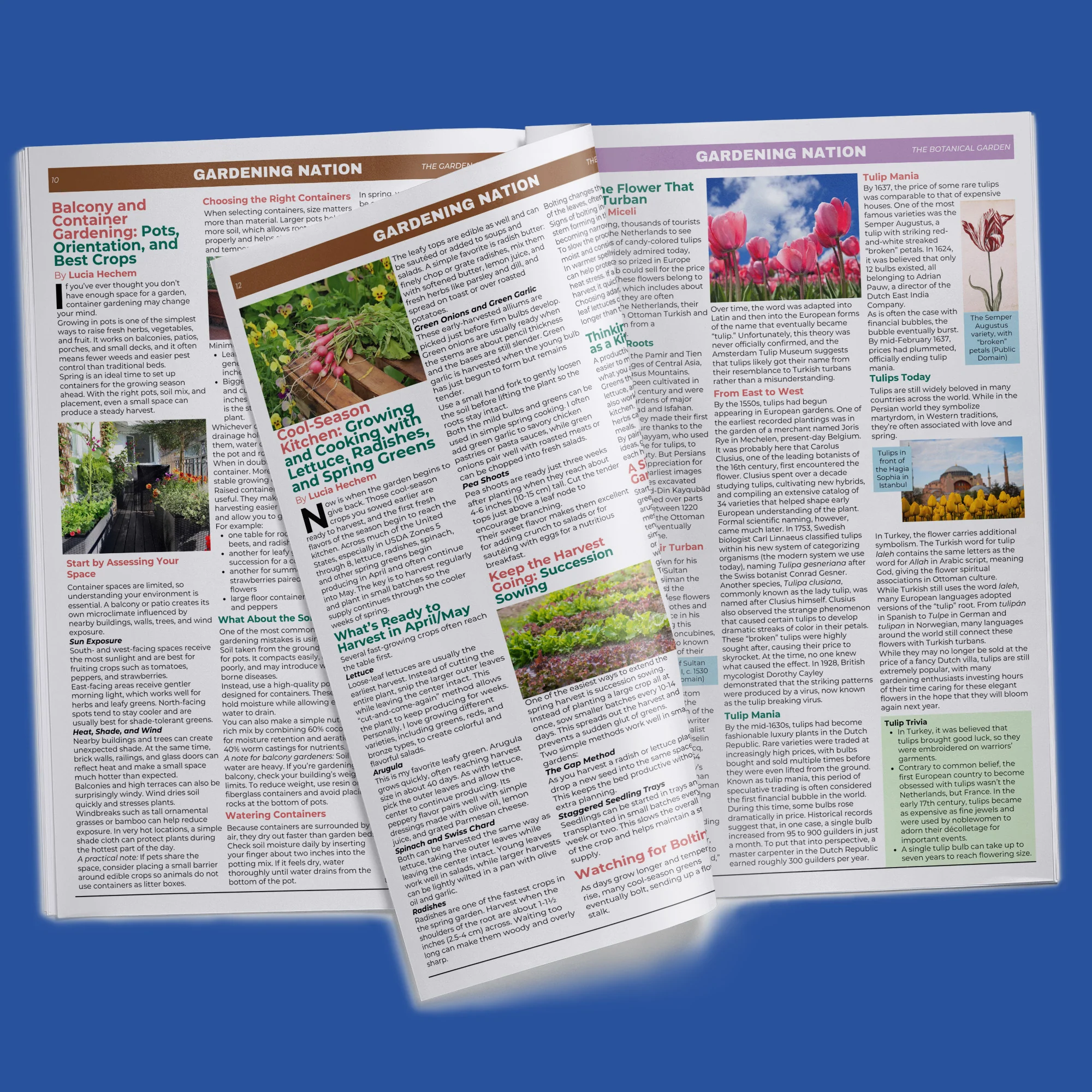 Gardening Nation • Issue 2 - Image 9