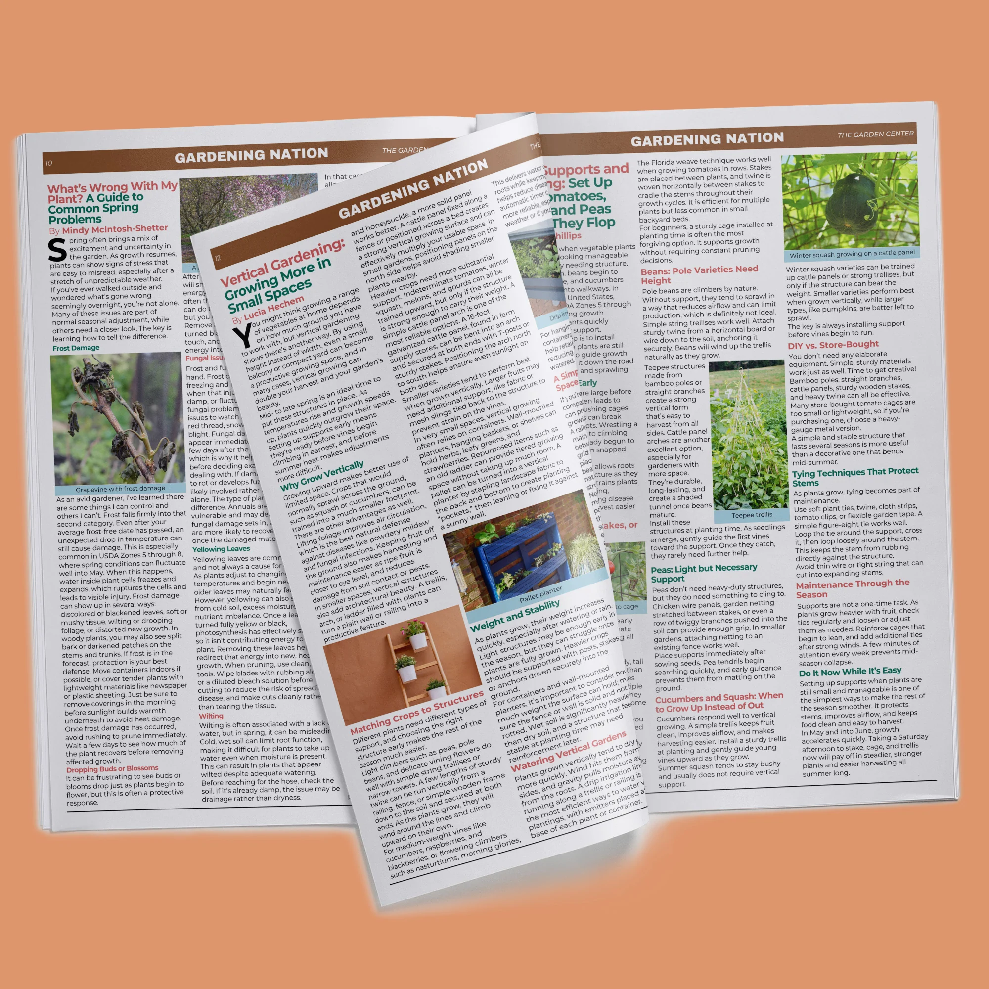 Gardening Nation • Issue 3 - Image 8