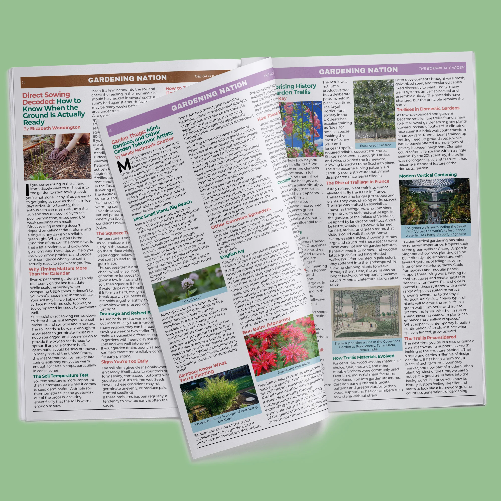 Gardening Nation • Issue 3 - Image 9